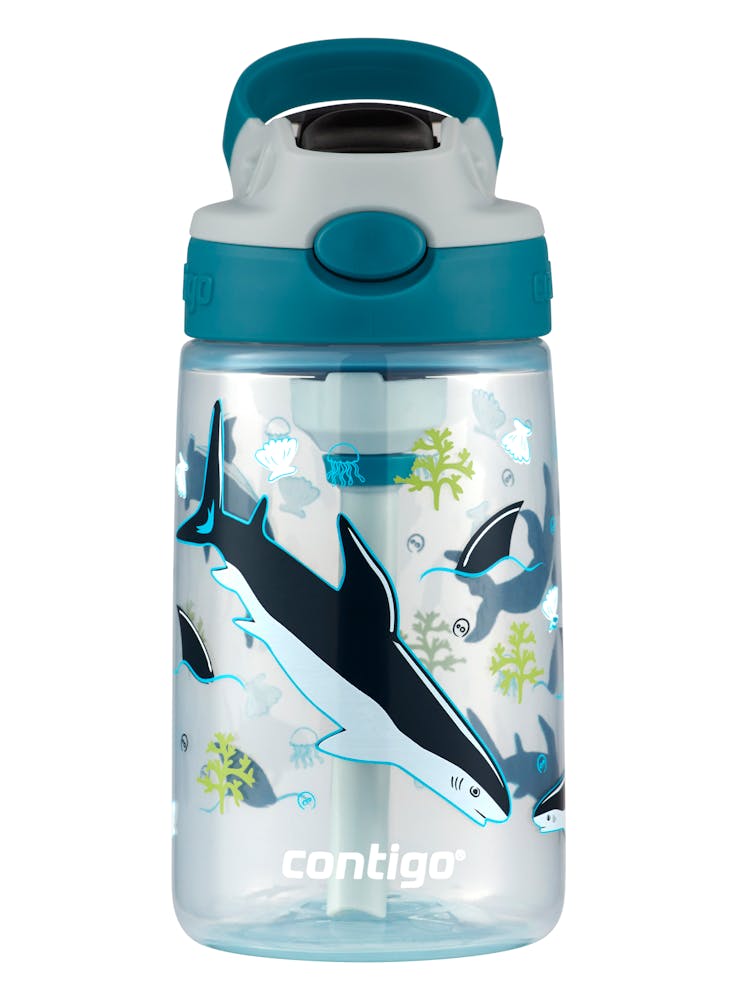 Contigo® Kids Straw Water Bottle with AUTOSPOUT® Lid, 14oz ·B